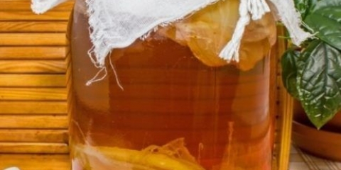 Kombucha ne iskače (ne diže): razlozi šta treba učiniti