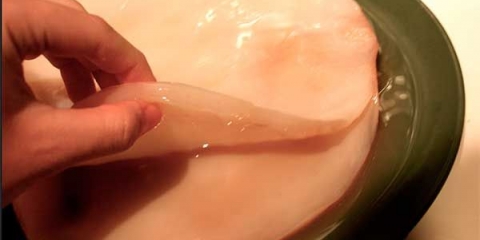 Kombucha: njega, upute i pravila održavanja