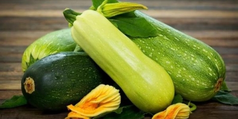 Koja je razlika između tikvica i tikvica?