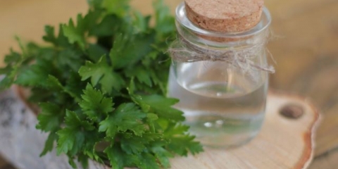 Šta je peršun koristan za organizam muškaraca i žena