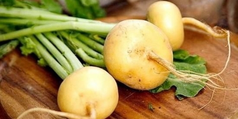 Šta je korisna repa za ljudsko tijelo: sastav, kalorijski sadržaj sirove, kuhane, pirjane