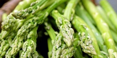 Šta su korisne šparoge za muškarce, žene, trudnice