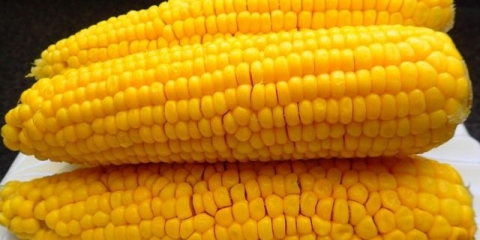 Prednosti kuhanog kukuruza u klipu