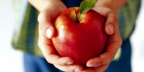 Koje su prednosti jabuka za organizam