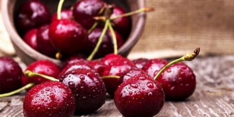 Astahovljev favorit trešnje