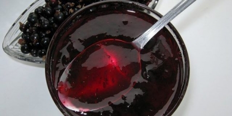 Crna ribizla: žele za zimu bez kuvanja