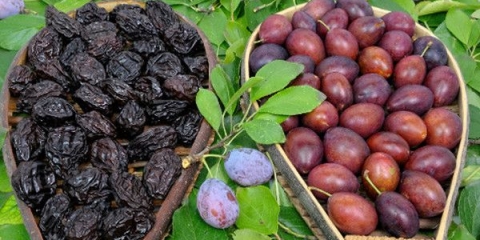 Koja je razlika između suvih šljiva i šljiva