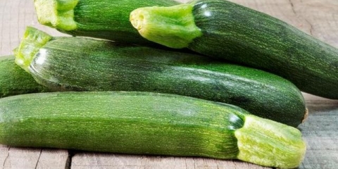 Tikvice: uzgoj i njega na otvorenom polju