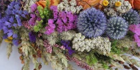 Biserno cvijeće anafalis: sadnja i njega, opis, fotografija u pejzažnom dizajnu