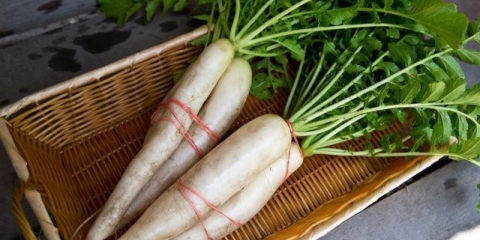 Daikon: korisna svojstva i kontraindikacije