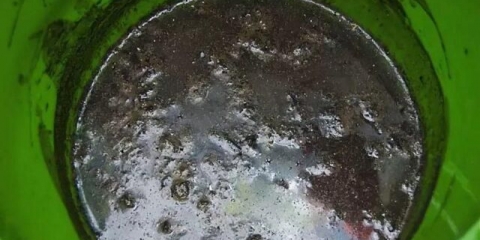 Katranski sapun za vrt: primjena, recepti, recenzije, tekućina