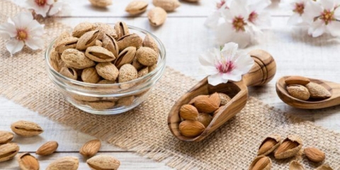 Bademovo drvo: kako i gdje raste, fotografija