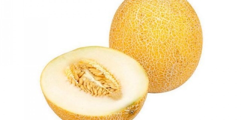 Galia dinja: fotografija i opis