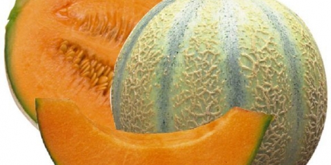 Gulyabi dinja: fotografija i opis