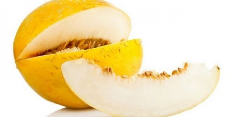 Kolektivni farmer dinje - uzgoj na otvorenom polju