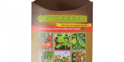 Fitolavin: upute za upotrebu za biljke, recenzije, kada obraditi