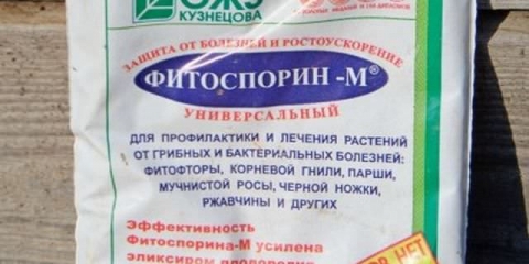 Fitosporin za grožđe - upute za upotrebu