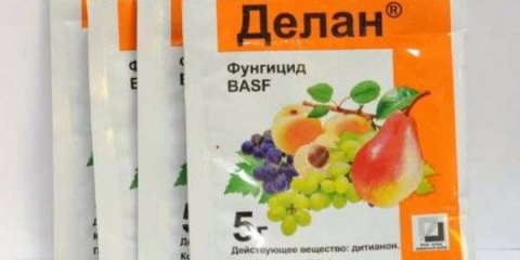 Fungicid delan