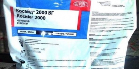 Fungicid coside 2000