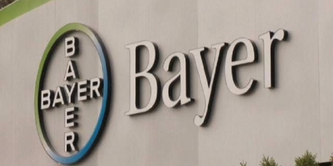 Fungicid mjesečev osjećaj, iskustvo