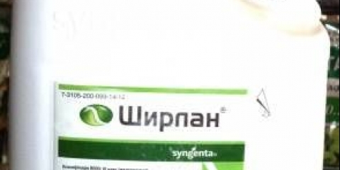 Fungicid shirlan