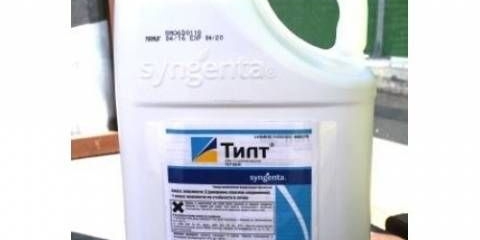 Tilt fungicid: upute za upotrebu za paradajz