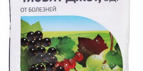 Fungicid tiovit mlaz: upute za uporabu, recenzije