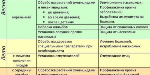 Fungicidi za grožđe - lista sistemskih lijekova, protiv plijesni i oidijuma