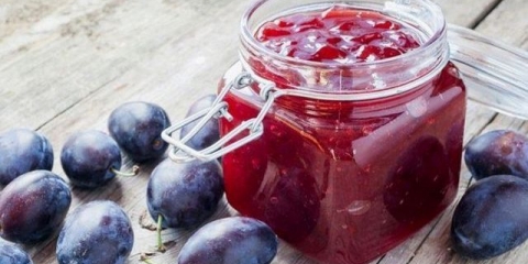 Hibrid šljive i kajsije