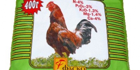 Urbani šljunak: fotografija samonikle biljke, ljekovita svojstva