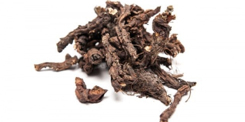 Riječni šljunak: fotografija i opis, primjena, recepti