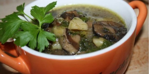 Juha od maslaca od gljiva: 28 ukusnih korak-po-korak recepata sa fotografijama svježih, smrznutih, sušenih i kiselih gljiva