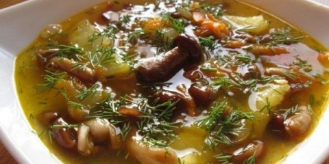 Juha od vrganja: recepti sa fotografijama