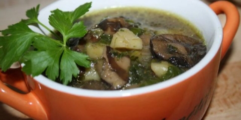 Juha od gljiva od svježih gljiva: recepti za kuhanje sa fotografijama