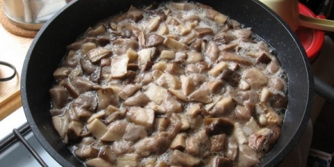 Juha od gljiva sa tikvicama: recepti za kuvanje