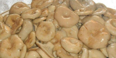 Mlečne pečurke sa pavlakom: sa lukom, belim lukom, jajima i mesom, najbolji recepti