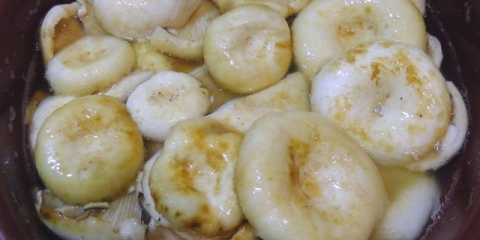 Mliječne pečurke u ulju: sa lukom i bijelim lukom, najbolji recepti za zimnicu