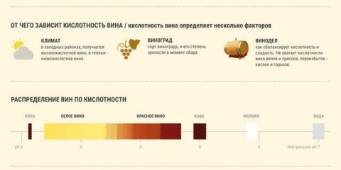 Gruzijska vinska sorta grožđa rkatsiteli