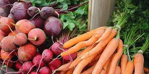 Skladištenje šargarepe i cvekle u zimskom periodu