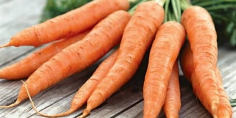 Čuvanje šargarepe u podrumu zimi