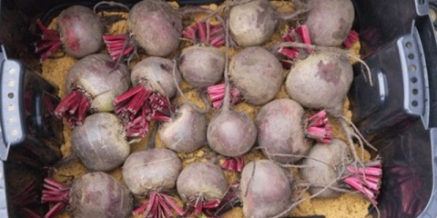 Čuvanje cvekle za zimu kod kuće