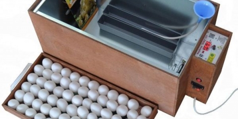 Blitz inkubator - opis i upute