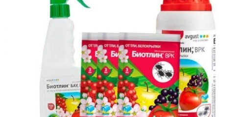 Biotlin insekticid: upute za uporabu od bijelih mušica, lisnih uši i drugih štetočina