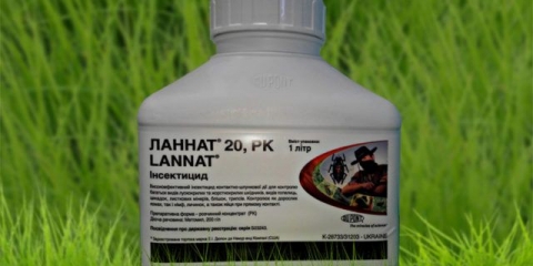 Insekticid lannate: upute, recenzije, stope potrošnje