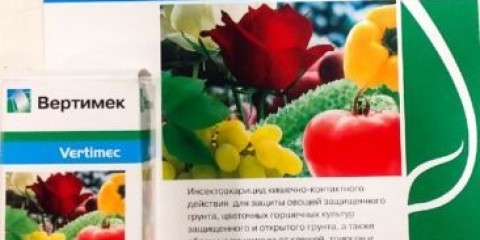 Insekticid vertimek: upute za upotrebu, opis, doziranje, klasa opasnosti