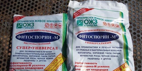 Uputstvo za upotrebu fungicida fitosporin m