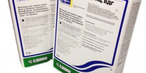 Uputstvo za upotrebu fungicida ridomil gold za paradajz i drugo povrće