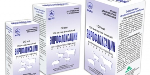 Uputstvo za upotrebu enrofloksacina za ptice