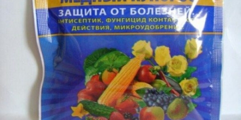 Upute za upotrebu bakrenog sulfata od fitoftore