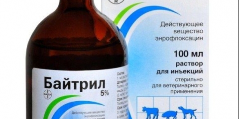 Upute za upotrebu baytrila za zečeve